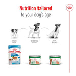 Royal Canin Mini Ageing in Loaf 195g