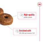 Royal Canin Medium Ageing 10+ kibble: high quality protein, enriched with EPA, DHA and vitamins C and E