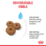 Royal Canin Maxi Starter rehydratable kibble for the mother during pregnancy and lactation and for weaning puppies