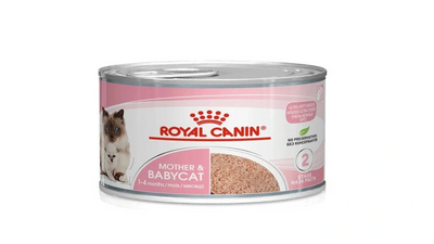 Royal Canin Babycat Instinctive Wet Food 195g – soft mousse for kittens and nursing queens.