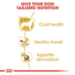 Royal Canin Adult Chihuahua Dog Food Loaf – nutritious wet food for small breed dogs.