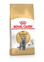 Royal Canin Adult British Shorthair