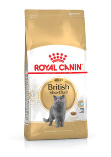 Royal Canin Adult British Shorthair