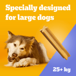 Pedigree Dentastix Large, specially designed for large dogs 25kg and over