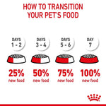 Royal Canin Appetite Control Care in Gravy Wet Cat Food