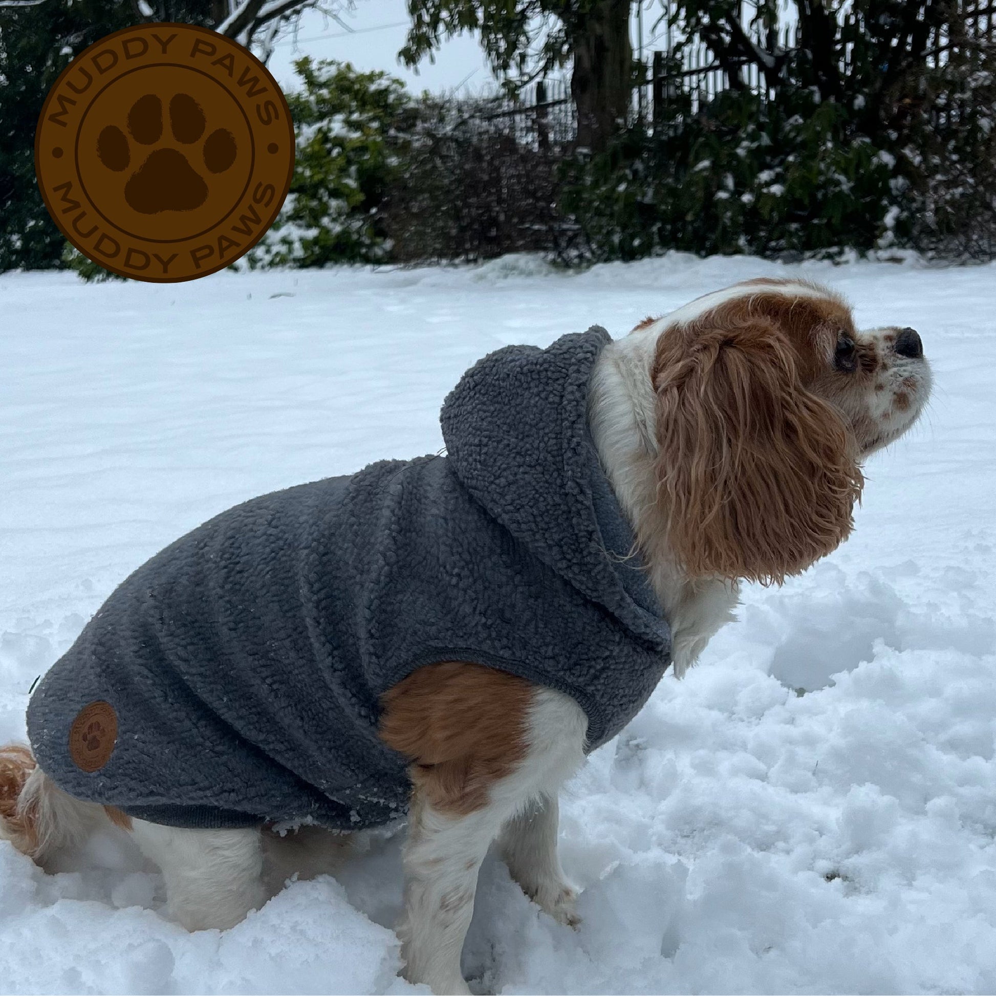 Sherpa Teddy Dog Fleece - Valuepet.ie