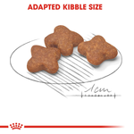 Royal Canin Mini Adult 8+ adapted kibble size for small dogs