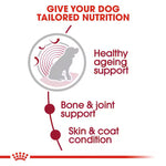 dog nutrition