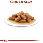 Dog food chunks in gravy