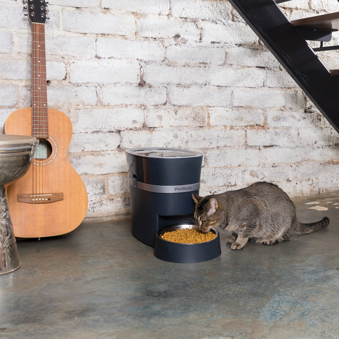 Smart Feed Automatic Dog and Cat Feeder - PetWorld