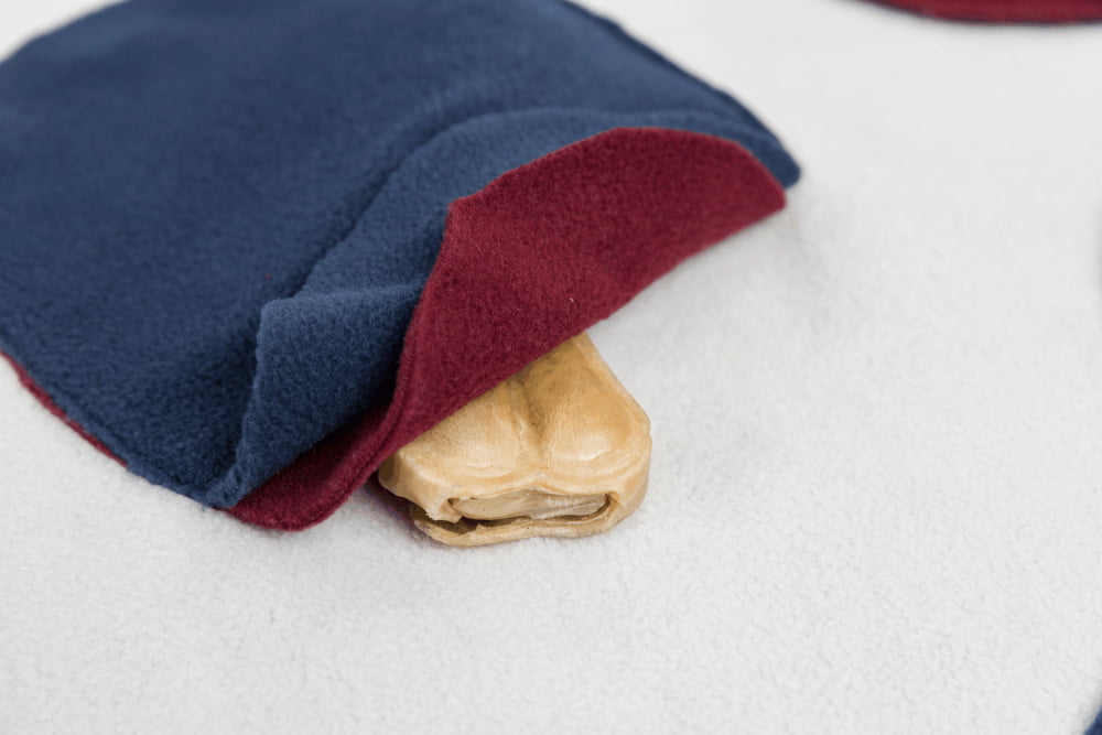 Dog Sniffing Activity Blanket - PetWorld