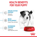 Royal Canin Mini Puppy health benefits: immune system, brain development and microbiome support