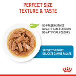 Dog treats in a bowl