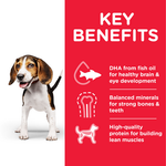 hills science plan puppy benefits