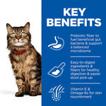 Hill's Science Plan Sensitive Stomach & Skin Adult Dry Cat Food – Chicken