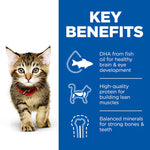 Kitten with key benefits of DHA, protein, and minerals