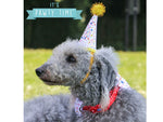 Sprinkle Happy Birthday Bandana and Hat set - Valuepet.ie