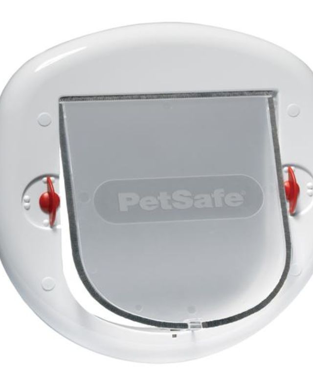 Staywell 270 Big Cat Flap Clear