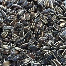 Nature's Best Striped Sunflower Seed 1kg - PetWorld