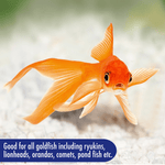Aquarian Goldfish Flake Food is good for all goldfish including ryukins, lionheads, orandas, comets and pond fish