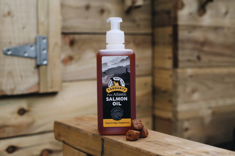 taggarts salmon oil