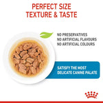 Perfect Size, Texture & Taste