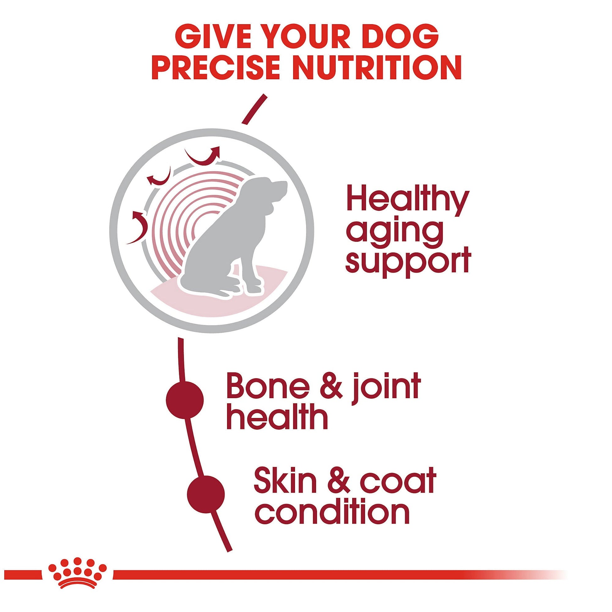 Royal Canin Medium Aging 10+ Dog Food - PetWorld