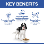 Hill's Science Plan Medium Adult Dog Food with Chicken