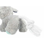 plush teddy dog toy