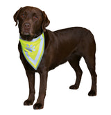 Safety Neckerchief For Dogs