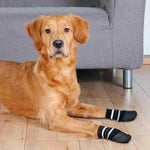 trixie socks for dogs