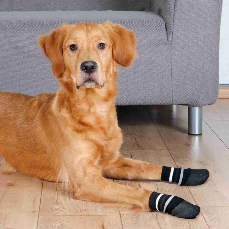 trixie socks for dogs