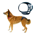 Pet underwear with strap