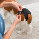Pet underwear with strap
