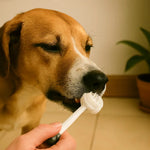 Trixie toothbrush For Dogs