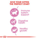 Royal Canin Kitten Dry Cat Food - PetWorld