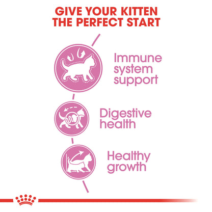 Royal Canin Kitten Dry Cat Food - PetWorld