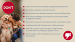 Pet Corrector safety guidance: what not to do when using the can