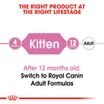 Royal Canin Kitten Dry Cat Food - PetWorld