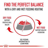 Royal Canin Yorkshire Terrier Adult Dry Dog Food