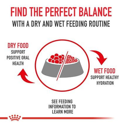 Royal Canin Yorkshire Terrier - ValuePet
