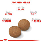 Royal Canin Maxi Adult Dog Food - PetWorld