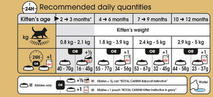 Royal Canin Kitten British Shorthair - PetWorld