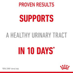 Royal Canin Adult Wet Cat Food