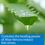 Aloe vera leaf: API Stress Coat contains aloe vera to reduce fish stress