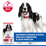 Hill's Science Plan Medium Adult Dog Food with Lamb & Rice