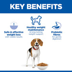 Hill's Perfect Weight Medium key benefits: safe weight loss, healthy weight maintenance, prebiotic fibres