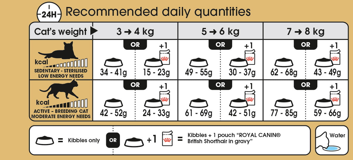 Royal Canin Adult British Shorthair Cat Food - PetWorld