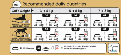 Royal Canin Adult British Shorthair Cat Food - PetWorld